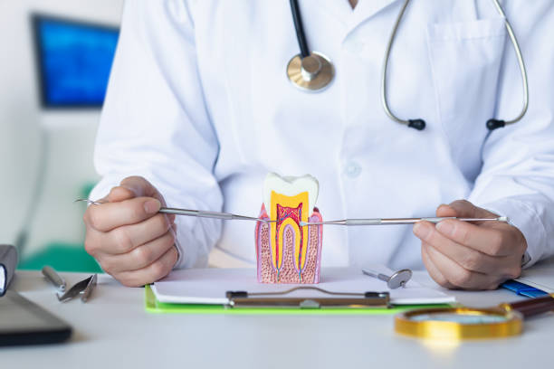 Best Pediatric Emergency Dentist in Fairbury, NE